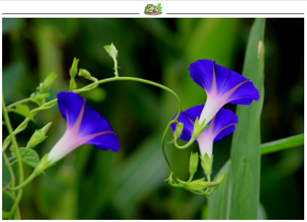 29296063_1386144034295_mthumb (1).jpg